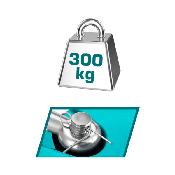 Balanza Digital 300kg Total